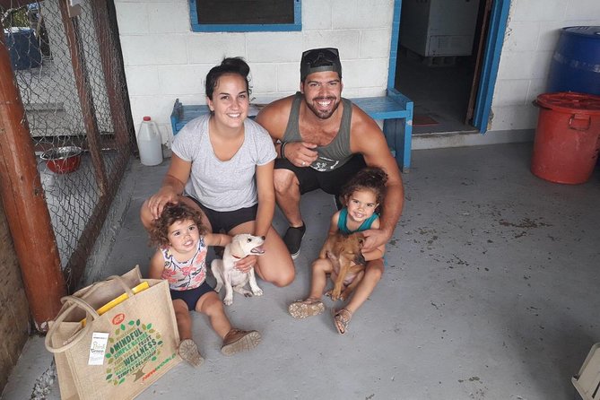 Shelter Visit & Tour - The Adoption-Ready Goal Behind All That Cuddling