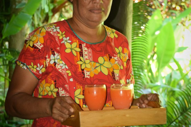 Shore Excursion-Nadi Mudpools,Sleeping Giants Gardens,Markets, Temple & Shopping - Nadi Area Route: Why This Half-Day Mix Works