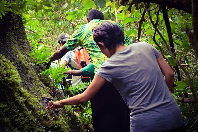 Small Group Hiking Adventure - Hidden Peaks - Village experiences in Nausori Highlands: kava, culture, and lunch