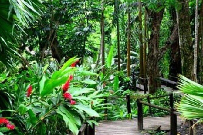 South Sea Island Half Day with Lunch & Drinks - Snorkeling and Non-Motorized Watersports: What to Expect From the Gear