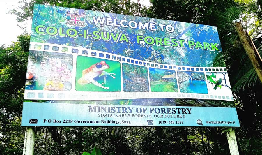 Suva Cruise Ship Tour - Price and value: what the $418 group cost covers, and what it does not