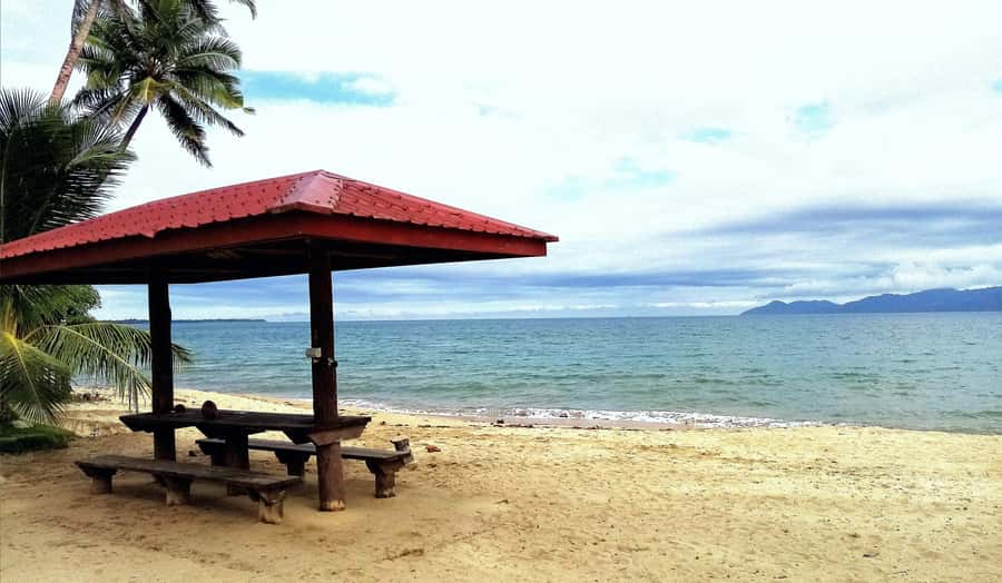 Suva Cruise Ship Tour - Comfort, pace, and who should choose this tour