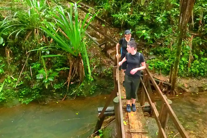 Suva Customized tour- Private - A 3-hour Suva plan you can actually steer
