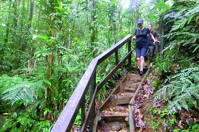 Suva Customized tour- Private - The nature add-on: waterfalls and a possible swim