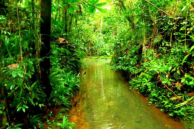 Suva Customized tour- Private - Price, transport, and what you should budget beyond the tour