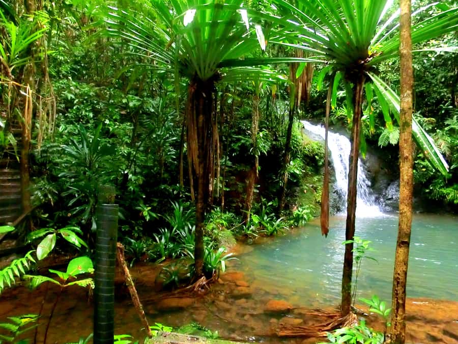 Suva: Fijian Nature and Waterfall Tour - Why This Suva Waterfall Tour Feels Like Real Fiji Nature
