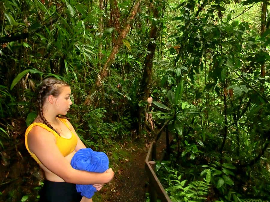 Suva: Fijian Nature and Waterfall Tour - Waterfalls and Natural Pools: Where the Swimming Option Shows Up