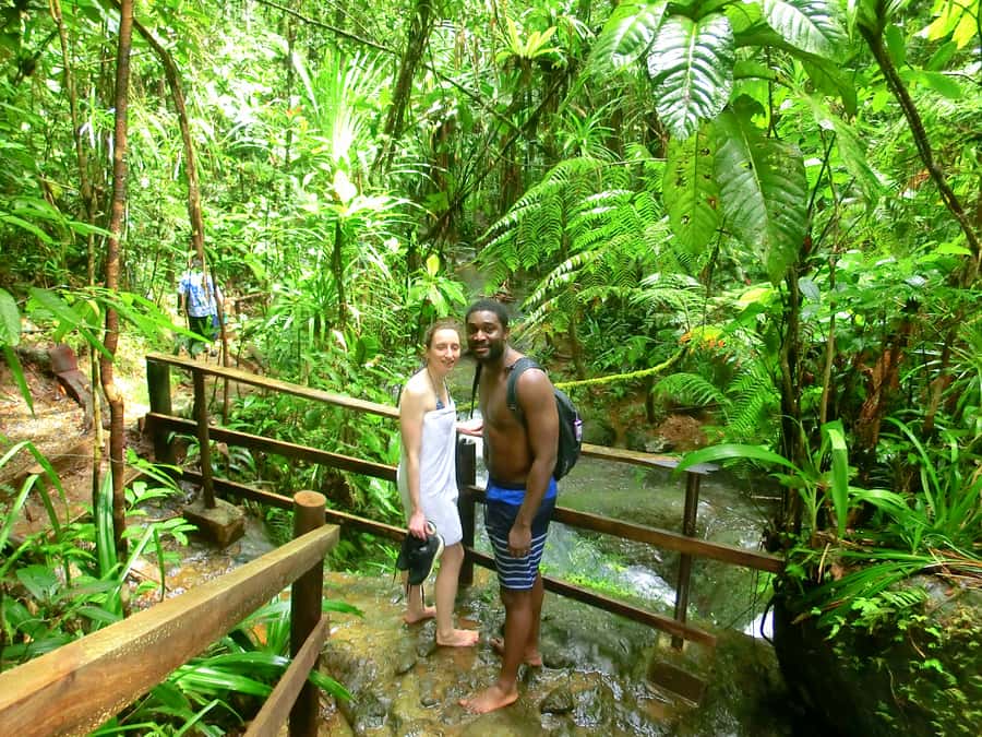 Suva: Fijian Nature and Waterfall Tour - Bird Watching and Jungle Plants, Without Pretending You Know Them