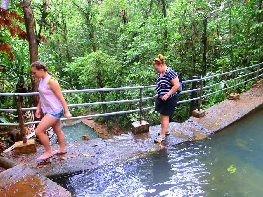 Suva: Fijian Nature and Waterfall Tour - How Long It Takes and What That Means for Your Day Plan