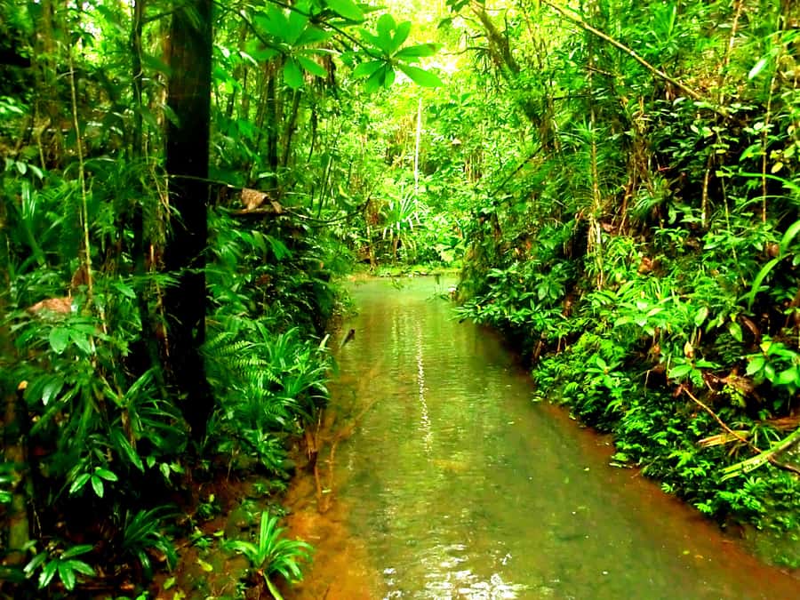 Suva: Fijian Nature and Waterfall Tour - What to Bring (So You Enjoy the Swim Part)