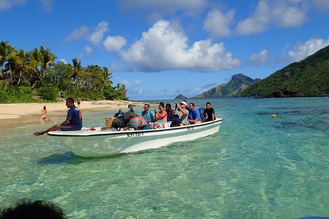 Ultimate Encounter Snorkel with Sharks in Fiji - Who should book this shark snorkeling trip from Denarau?