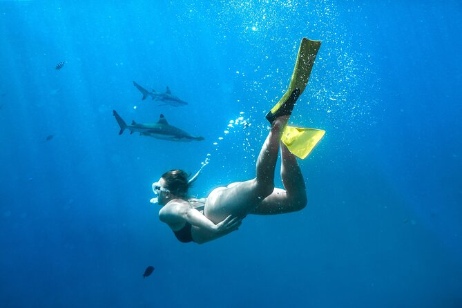 Ultimate Encounter Snorkel with Sharks in Fiji - Kuata Island time: beach, gear, pools, and the buffet lunch that keeps you fueled