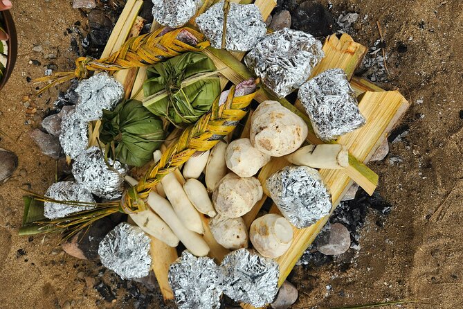 Vavavi - Fijian Cooking & Cultural Experience - Group size, pace, and whether this feels family-run (it does)