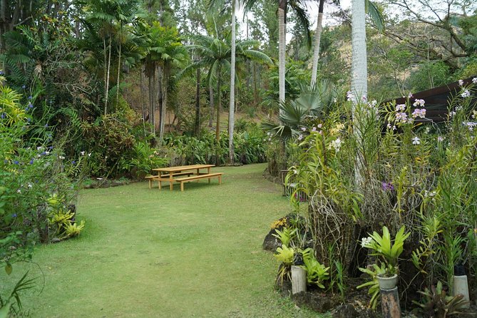 Vuda Lookout, Vesisei Village, Market, Temple & Garden of Sleeping Giant Tour - Why this Nadi half-day feels different than a beach day