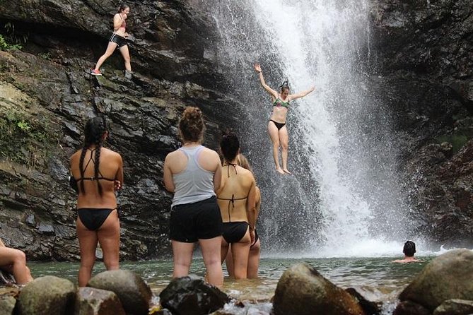 Waterfall and Fijian Village Tour with Light Lunch ex Nadi Area Hotels - Key highlights you should not skip