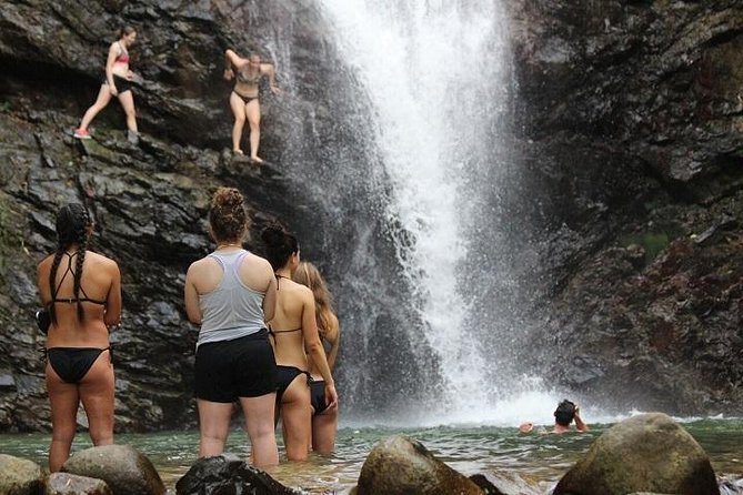 Waterfall and Fijian Village Tour with Light Lunch ex Nadi Area Hotels - From Nadi pickup to real village welcome, what makes this day work