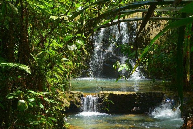 Waterfalls and Nature Tour - Pickup in Suva, Small Group Energy, and What You Actually Get for $91.72