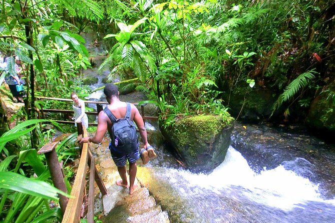 Waterfalls and Nature Tour - Nature Trail Walking, Bird Spotting, and How the Guide Keeps It Interesting
