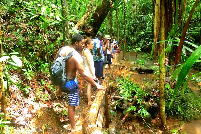 Waterfalls and Nature Tour - Waisila Falls: The Big Water Moment and the Photo Time You Want
