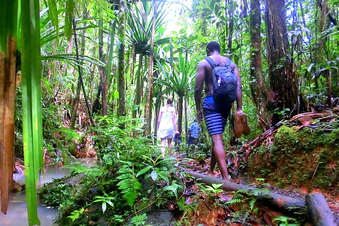 Waterfalls and Nature Tour - Picnics Under the Trees: Plan Lunch Because It Is Not Included