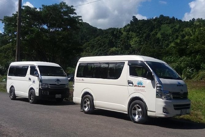 Zip line Fiji ex Fiji Marriot w/private transfer dropoff Nadi Airport or resort - Lunch at the Park, Plus What to Bring With Cash